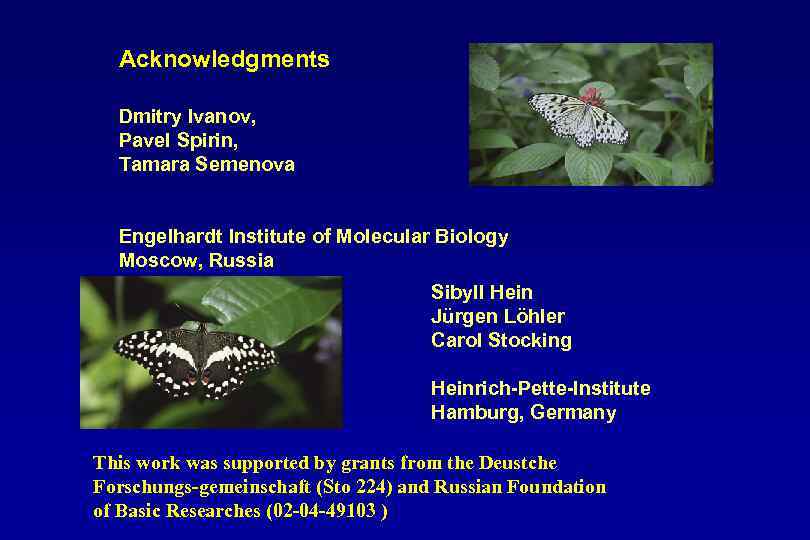 Acknowledgments Dmitry Ivanov, Pavel Spirin, Tamara Semenova Engelhardt Institute of Molecular Biology Moscow, Russia