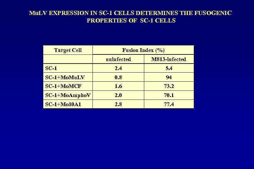 Mu. LV EXPRESSION IN SC-1 CELLS DETERMINES THE FUSOGENIC PROPERTIES OF SC-1 CELLS Target