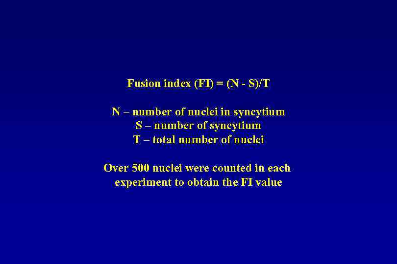 Fusion index (FI) = (N - S)/T N – number of nuclei in syncytium