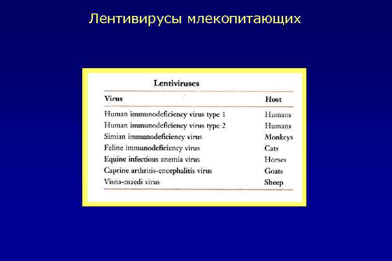 Лентивирусы млекопитающих 