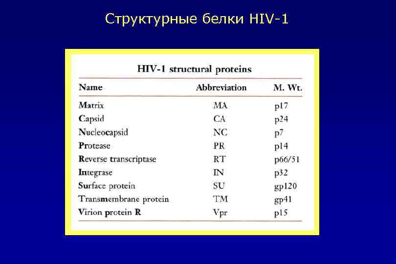 Структурные белки HIV-1 