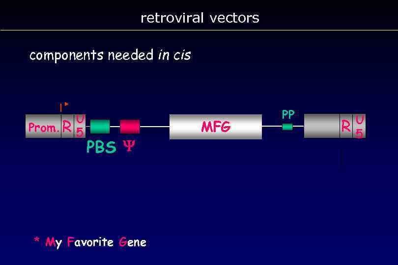 retroviral vectors components needed in cis Prom. R U 5 PBS Y * My