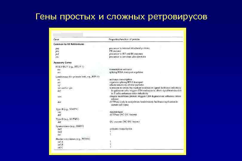 Гены простых и сложных ретровирусов 