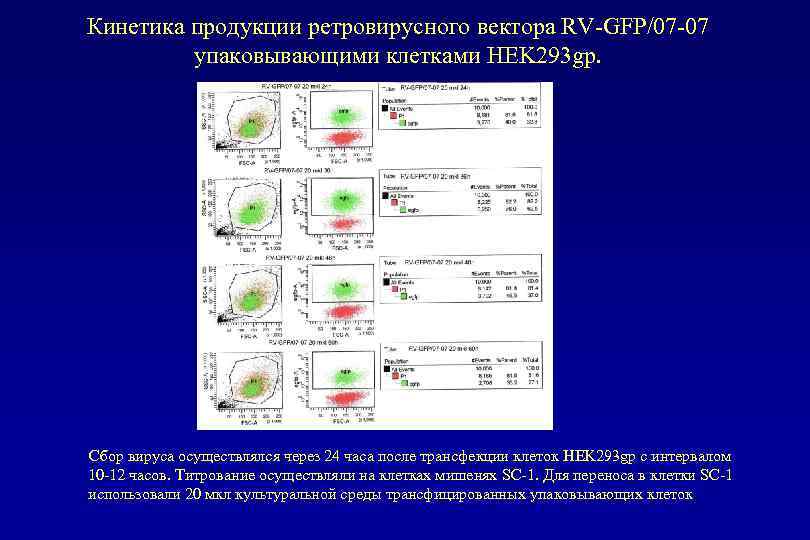 Кинетика продукции ретровирусного вектора RV-GFP/07 -07 упаковывающими клетками HEK 293 gp. Сбор вируса осуществлялся