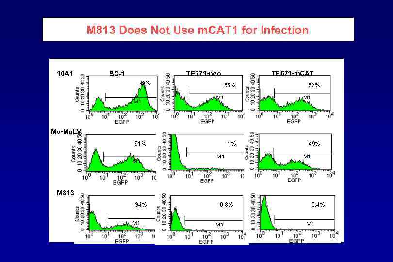 M 813 Does Not Use m. CAT 1 for Infection 10 A 1 TE