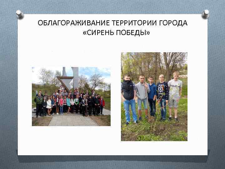 ОБЛАГОРАЖИВАНИЕ ТЕРРИТОРИИ ГОРОДА «СИРЕНЬ ПОБЕДЫ» 