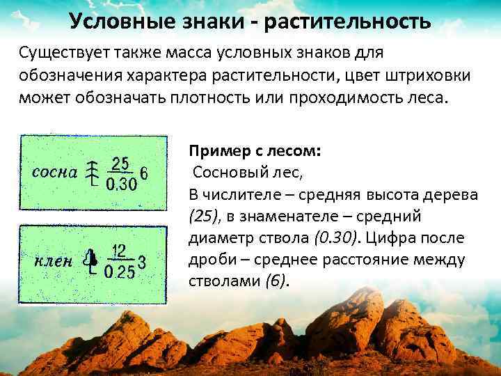 Условные знаки - растительность Существует также масса условных знаков для обозначения характера растительности, цвет