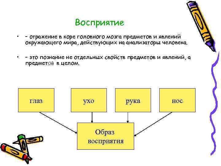 Отдельное свойство предмета. Отражение отдельных свойств предметов и явлений. Восприятие это отражение отдельных свойств предметов. Отражение отдельных свойств предметов и явлений окружающего мира это. Восприятие – отражение в коре головного мозга.