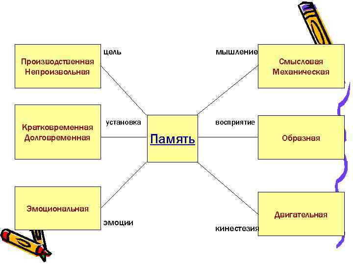 Производственная Непроизвольная Кратковременная Долговременная цель мышление установка восприятие Память Образная Эмоциональная эмоции Смысловая Механическая