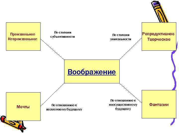 Произвольное Непроизвольное По степени субъективности По степени уникальности Репродуктивное Творческое Воображение Мечты По отношению