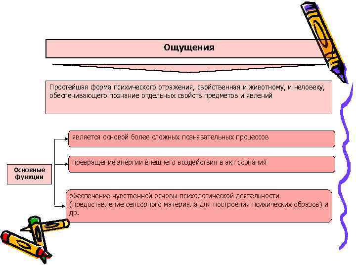 Ощущения Простейшая форма психического отражения, свойственная и животному, и человеку, обеспечивающего познание отдельных свойств