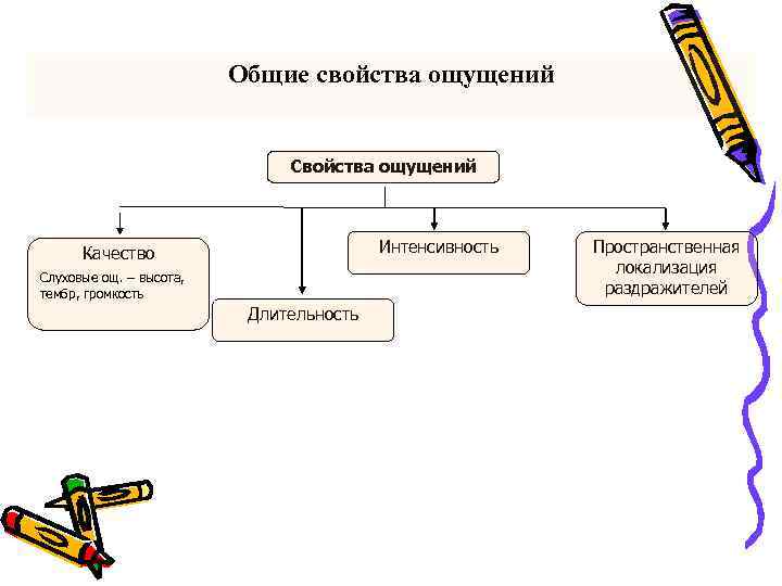 Общие свойства ощущений Свойства ощущений Интенсивность Качество Слуховые ощ. – высота, тембр, громкость Длительность