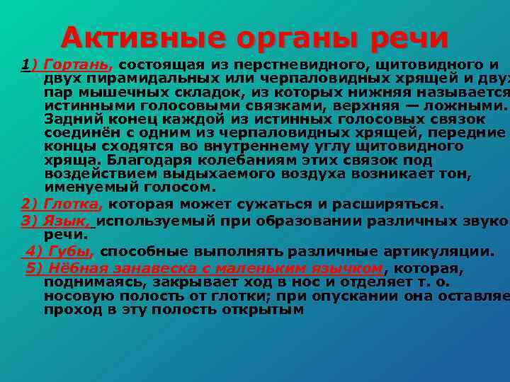 Активные органы речи 1) Гортань, состоящая из перстневидного, щитовидного и двух пирамидальных или черпаловидных