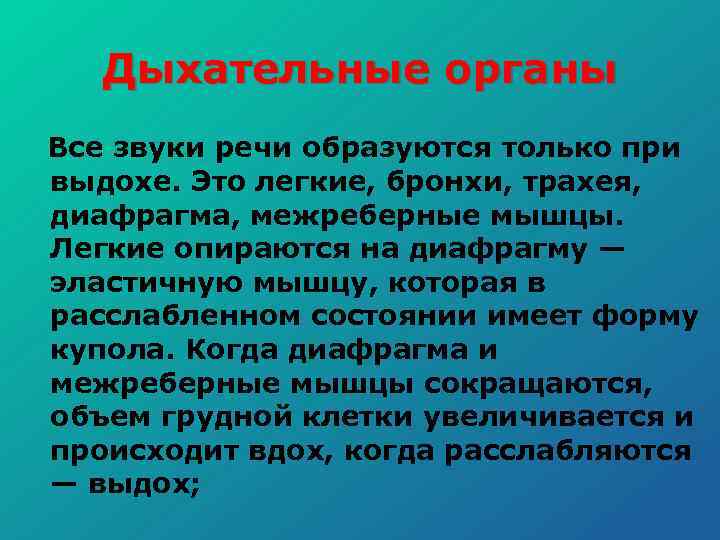 Дыхательные органы Все звуки речи образуются только при выдохе. Это легкие, бронхи, трахея, диафрагма,