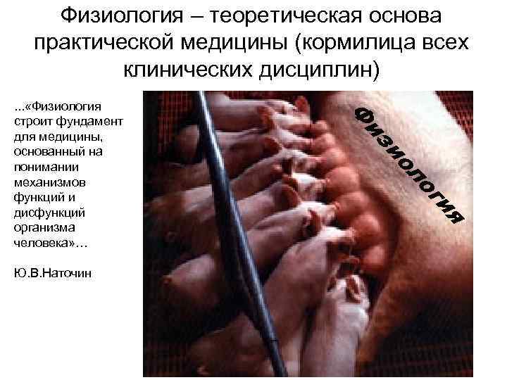 Физиология – теоретическая основа практической медицины (кормилица всех клинических дисциплин) я ги ло ио
