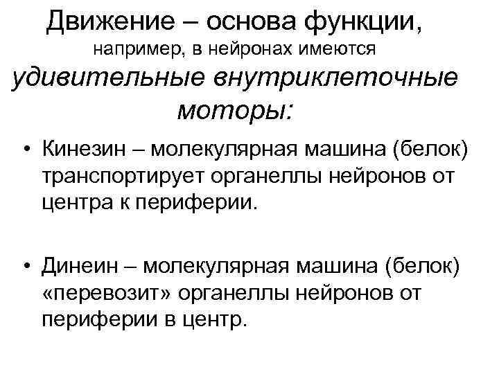 Движение – основа функции, например, в нейронах имеются удивительные внутриклеточные моторы: • Кинезин –