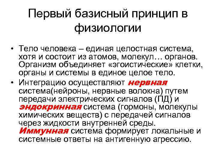 Первый базисный принцип в физиологии • Тело человека – единая целостная система, хотя и