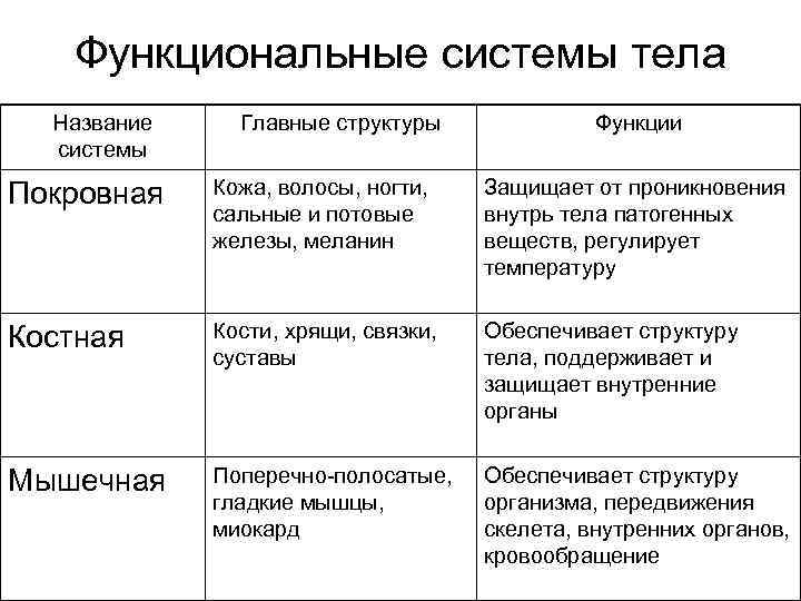 Наименование системы. Функциональные системы организма таблица. Основные функциональные системы организма человека. Перечислите основные функциональные системы организма человека.. Функциональная система таблица.