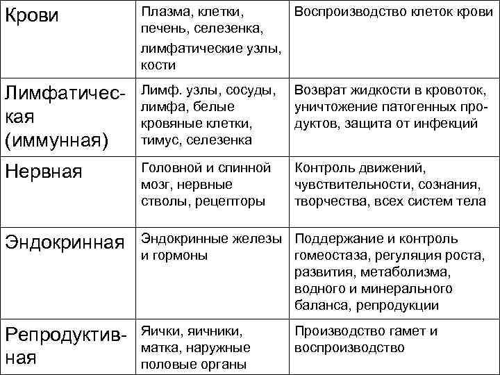 Крови Плазма, клетки, Воспроизводство клеток крови печень, селезенка, лимфатические узлы, кости Лимфатическая (иммунная) Лимф.