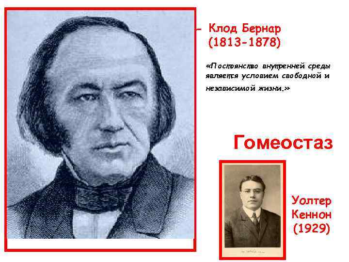 Клод Бернар (1813 -1878) «Постоянство внутренней среды является условием свободной и независимой жизни. »