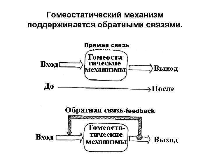 Прямая связь