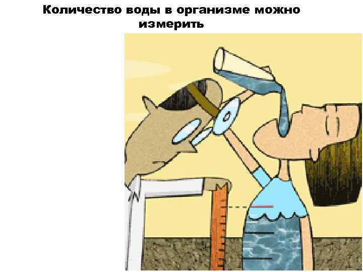 Количество воды в организме можно измерить 