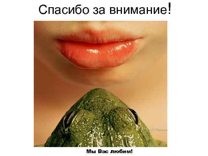 Спасибо за внимание! Мы Вас любим! 
