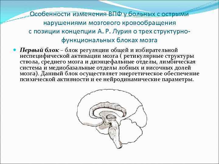 Особенности изменения ВПФ у больных с острыми нарушениями мозгового кровообращения с позиции концепции А.