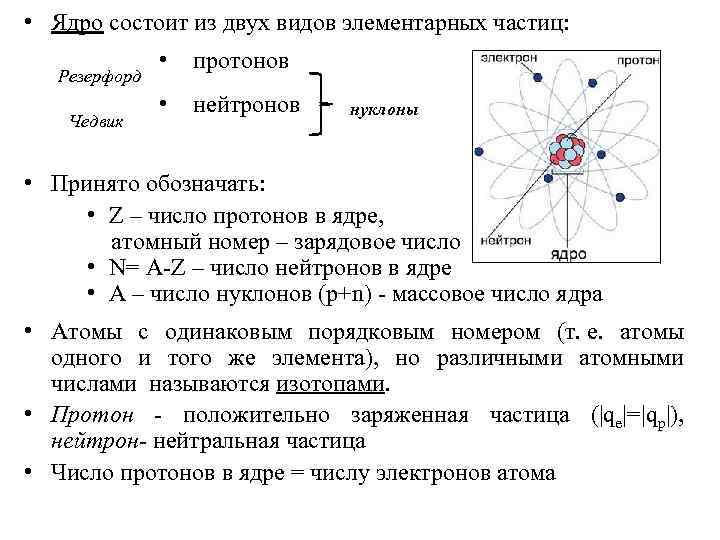 Ядро состоит из частиц. Ядро состоит из. 2. Ядро состоит из ........ И ............. Из чего состоит ядро. Ядро состоит из следующих элементарных частиц:.