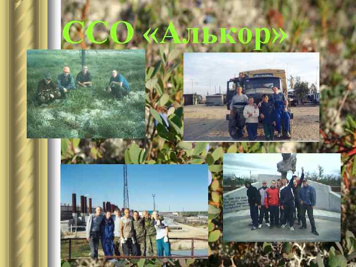 ССО «Алькор» 