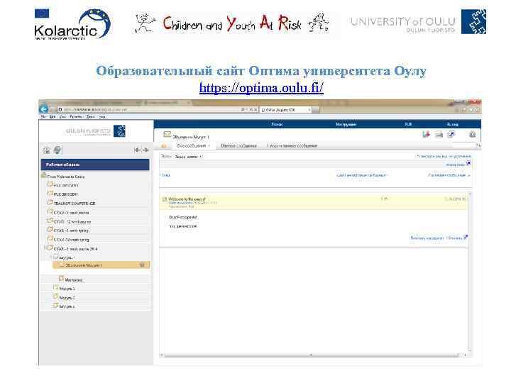 Образовательный сайт Оптима университета Оулу https: //optima. oulu. fi/ 