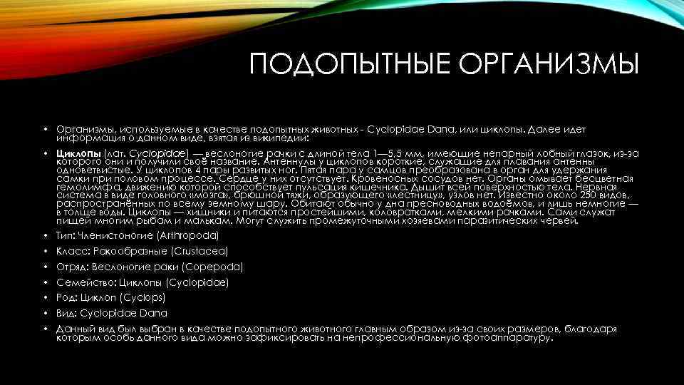 ПОДОПЫТНЫЕ ОРГАНИЗМЫ • Организмы, используемые в качестве подопытных животных - Cyclopidae Dana, или циклопы.