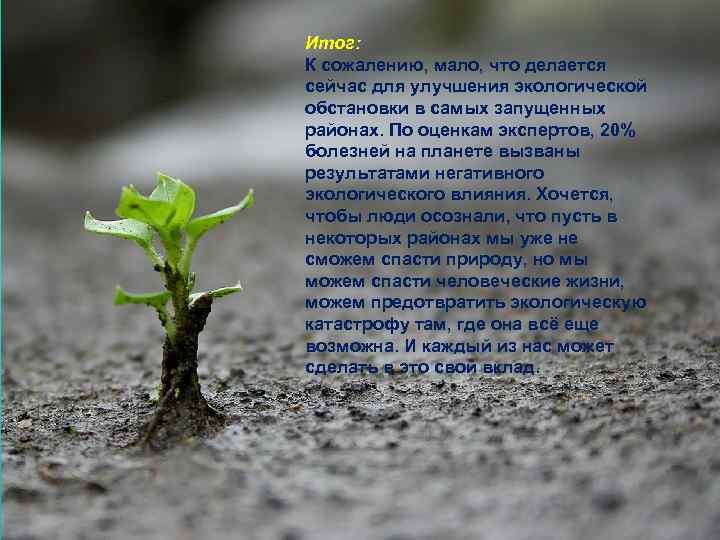 Итог: К сожалению, мало, что делается сейчас для улучшения экологической обстановки в самых запущенных