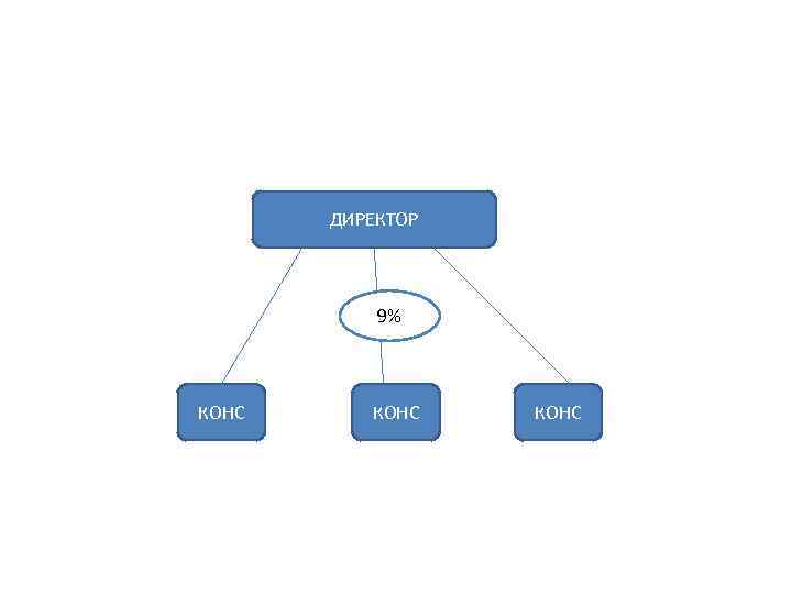 ДИРЕКТОР 9% КОНС 