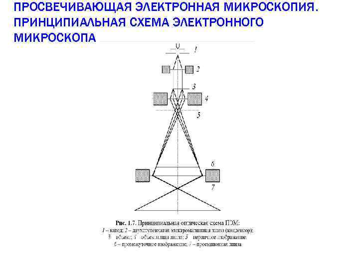 Схема электронного микроскопа