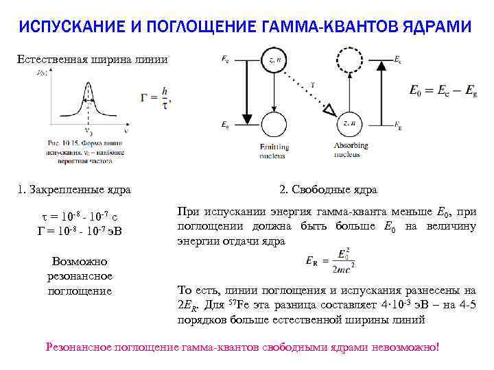 ИСПУСКАНИЕ И ПОГЛОЩЕНИЕ ГАММА-КВАНТОВ ЯДРАМИ Естественная ширина линии 1. Закрепленные ядра t = 10