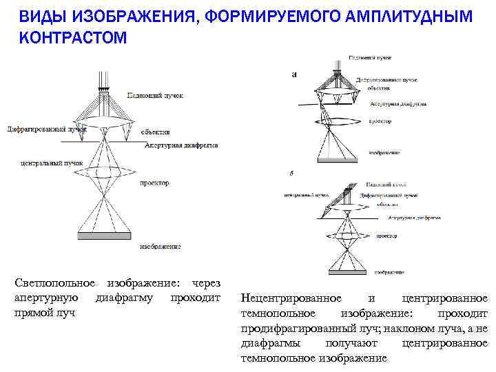 ВИДЫ ИЗОБРАЖЕНИЯ, ФОРМИРУЕМОГО АМПЛИТУДНЫМ КОНТРАСТОМ Светлопольное изображение: через апертурную диафрагму проходит прямой луч Нецентрированное