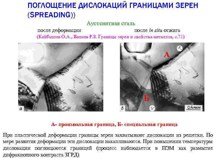 ПОГЛОЩЕНИЕ ДИСЛОКАЦИЙ ГРАНИЦАМИ ЗЕРЕН (SPREADING)) Аустенитная сталь после деформации после in situ отжига (Кайбышев