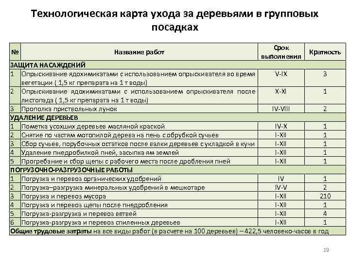 Технологическая карта ухода за растениями для дошкольников