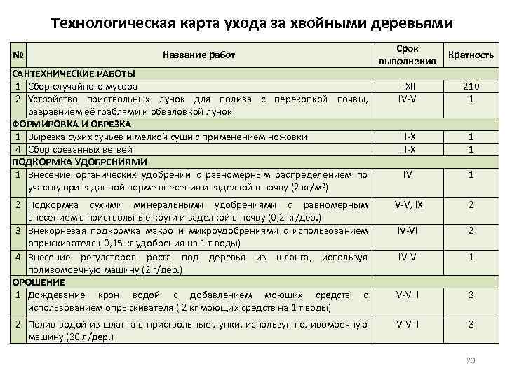 Технологическая карта ухода за растениями для дошкольников