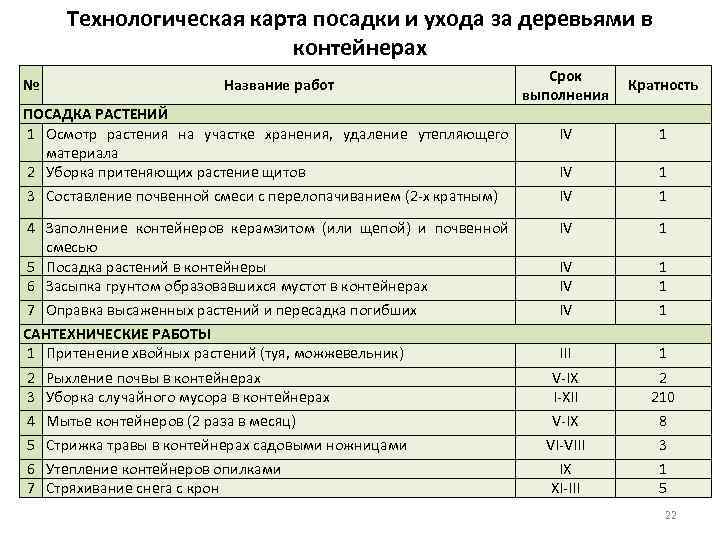 Технологическая карта цветника