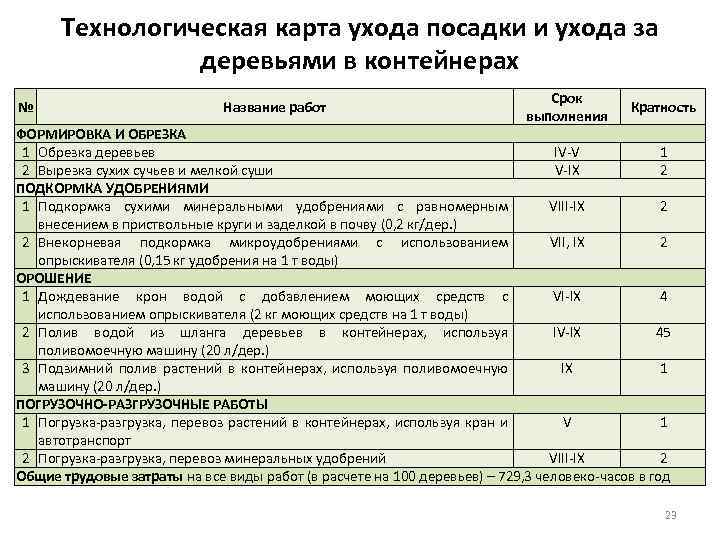 Технологическая карта ухода за растениями для дошкольников