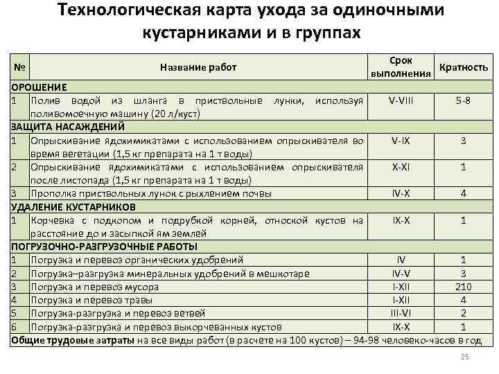 Технологическая карта ухода за растениями для дошкольников