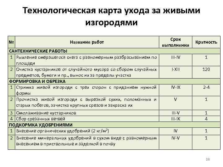 Технологическая карта ухода за растениями для дошкольников