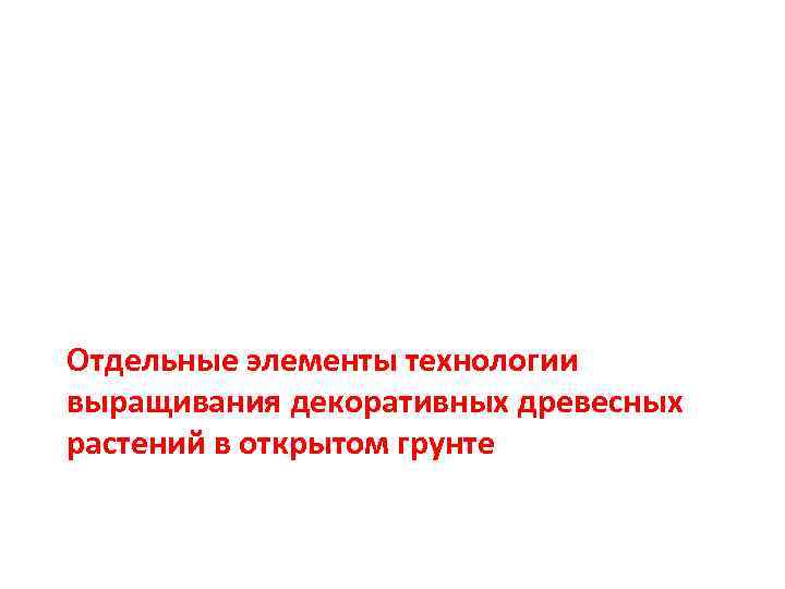 Отдельные элементы технологии выращивания декоративных древесных растений в открытом грунте 