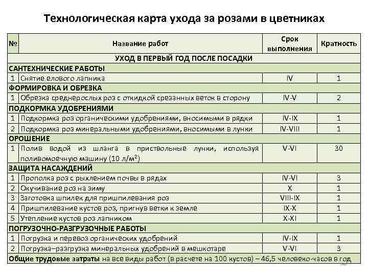 Технологическая карта ухода за растениями для дошкольников