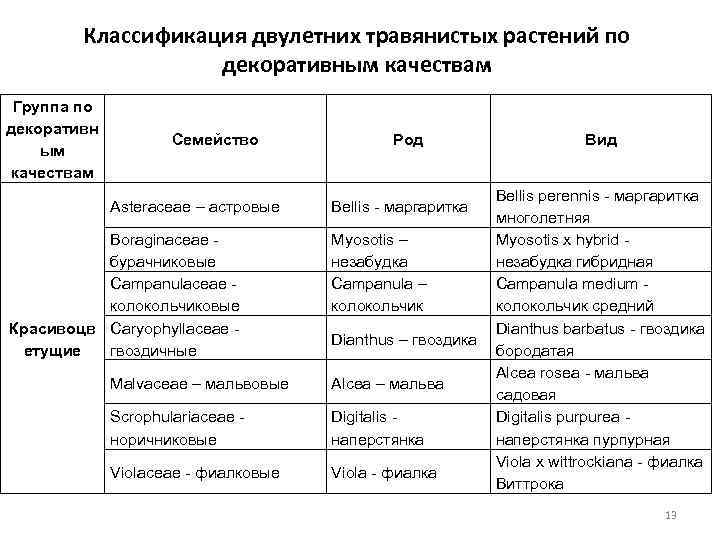 Классификация двулетних травянистых растений по декоративным качествам Группа по декоративн ым качествам Семейство Asteraceae