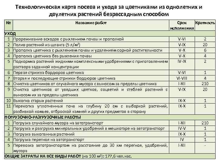 Технологическая карта ухода за растениями для дошкольников