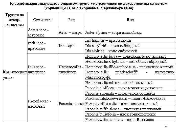 Классификация зимующих в открытом грунте многолетников по декоративным качествам (корневищные, кистекорневые, стержнекорневые) Группа по