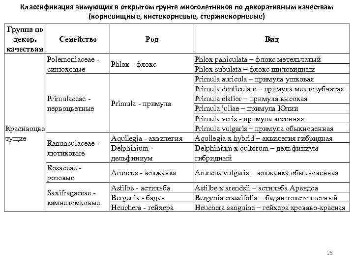 Классификация зимующих в открытом грунте многолетников по декоративным качествам (корневищные, кистекорневые, стержнекорневые) Группа по